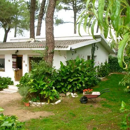 Aventura Ii * Navaluenga