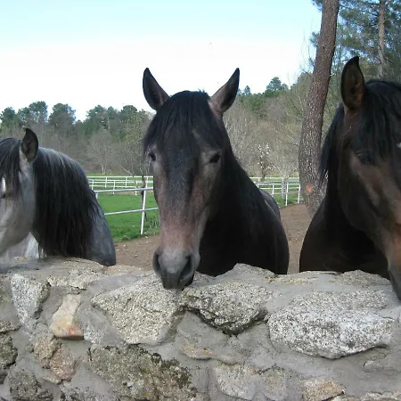 Aventura Ii Dom wakacyjny Navaluenga