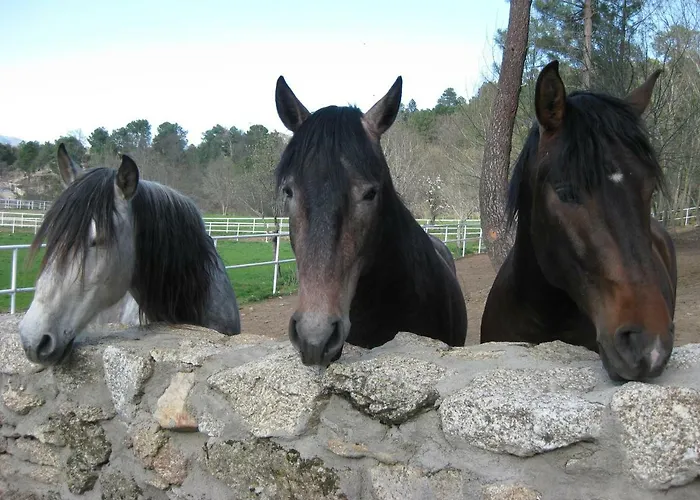 Aventura Ii 度假居 纳瓦伦加